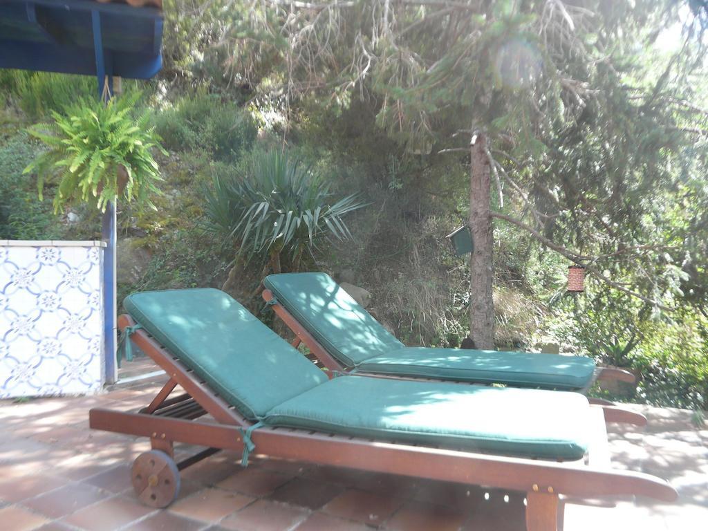 Hostal L'Ou De Reig Монтсень Экстерьер фото